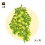 油甘果设计
