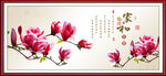 玉兰花