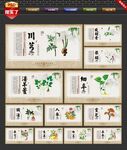 中药养生