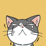 可爱的猫咪PSD分层文件