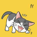可爱的猫咪psd分层文件