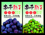 水果广告 新鲜水果 新鲜李子 