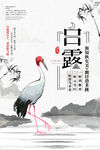 白露