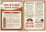 中医养生彩页