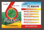 油菜种子单页