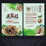 鹿茸菇