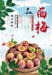 西梅