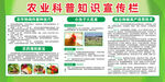 农业科普宣传展板设计