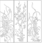 兰花