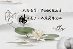 企业展板