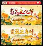 菊花展