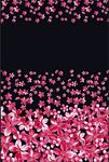 红花