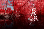红树林风景壁纸