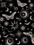 蝴蝶 星星