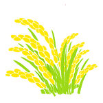 植物稻子元素