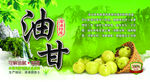 油柑