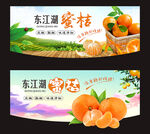 蜜桔