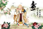 老寿星