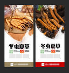 冬虫夏草海报