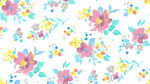 数码花