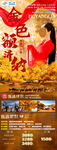 胡杨林