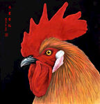 鸿运当头铁公鸡