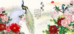 孔雀牡丹图