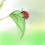 可爱卡通叶子甲虫手绘画