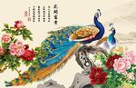 孔雀牡丹图