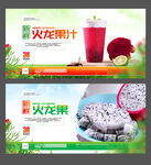 火龙果海报