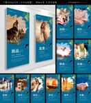 公司文化墙