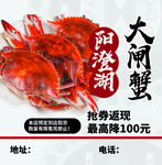 大闸蟹海报