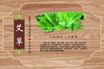 中医草药