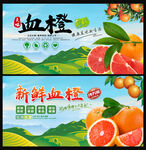 血橙