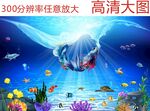 海洋素材
