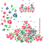 玫瑰花