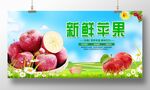 新鲜苹果