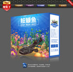 鮟鱇鱼包装