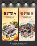 墨鱼