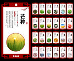 24节气图片