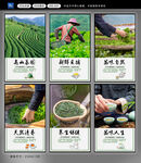 茶叶海报