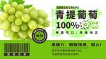 青提葡萄