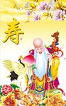 老寿星