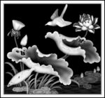 荷花灰度图图片