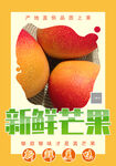 芒果