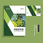 绿植宣传册 画册封面设计