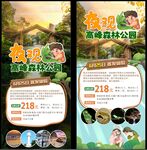 夜观高峰森林公园