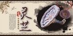 灵芝