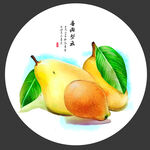 梨子手绘
