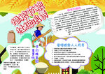 珍惜粮食小报